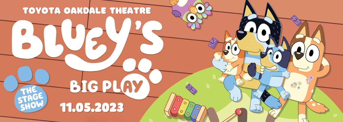 Bluey's Big Play